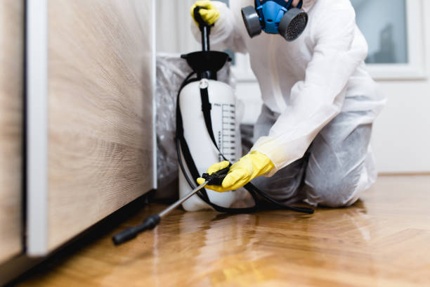 Best Commercial Pest Control Services  in Archer City, TX