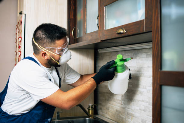 Best Pest Control for Homes  in Archer City, TX
