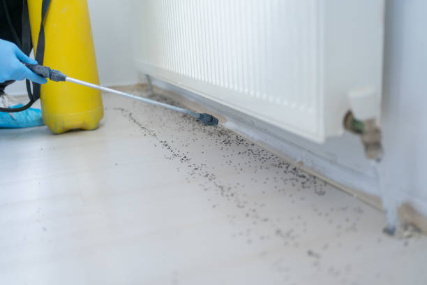 Best Wildlife Control Services  in Archer City, TX