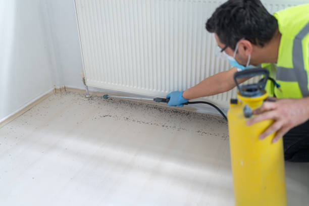 Best Best Pest Control Companies  in Archer City, TX