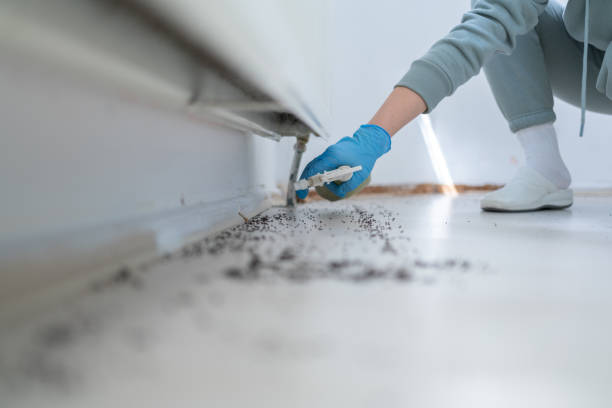 Best Residential Pest Control  in Archer City, TX